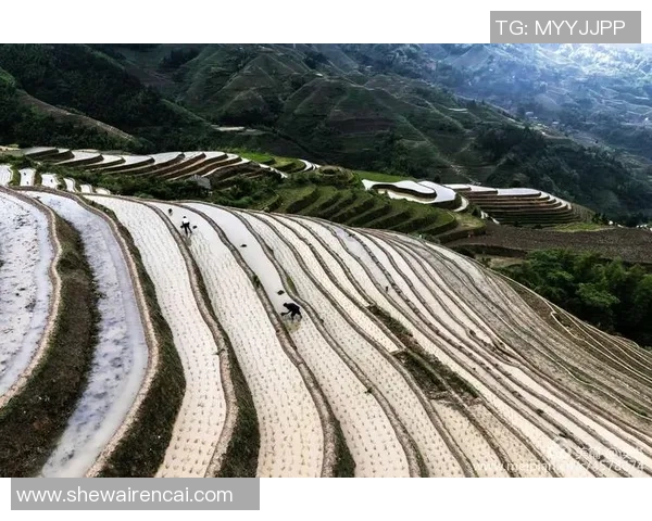 巴塞罗那足球明星法雷尔的辉煌历程与未来展望